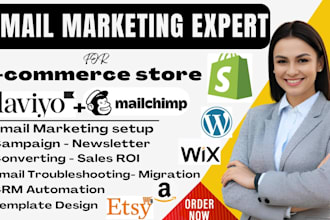 setup, manage shopify, wix email marketing campaign CRM automation newsletter