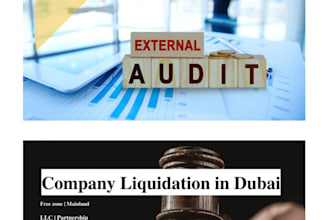 financial statements audit, provide liquidation report