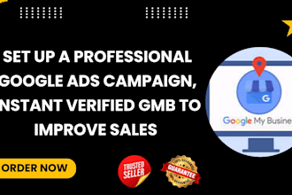 set up a professional google ads campaign, instant verified gmb to improve sales