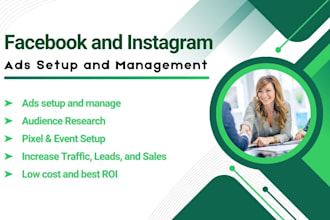do facebook and instagram ads campaign setup and management