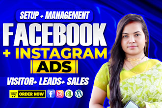 setup facebook ads campaign, instagram advertising, meta ads for leads and sales