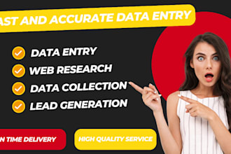 provide expert data entry and web research services