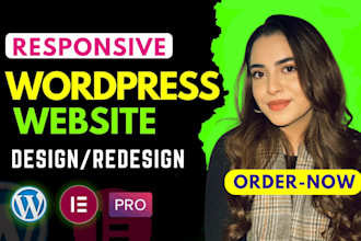 build professional wordpress website design and ecommerce website