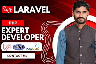 expert bug fix, develop and customize php,laravel, mysql wordpress bugs fixing