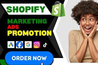 do shopify dropshipping store seo facebook google ads shopify store promotion