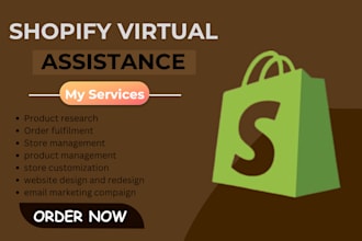 shopify virtual assistance,store manager,shopify sales marketing cro audit fb US