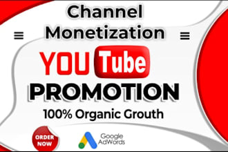 do organic video promotion to complete youtube channel monetization