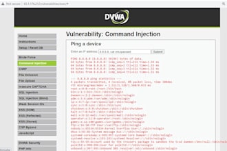 fix security vulnerabilities like sql injection, csrf, xss, dns, ddos vpn attack