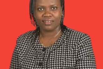 write research on agriculture, biology, chemistry, early childhood and education