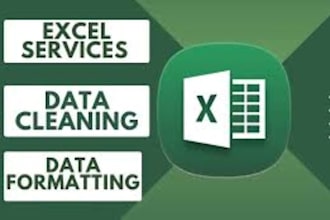 do data cleaning, data entry, data analysis, excel big data