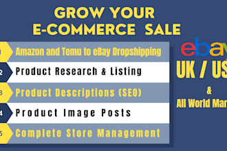 do expert ebay dropshipping, product listing and VA services