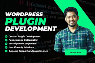 build custom wordpress plugins and elementor widgets for you