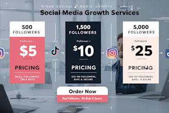 provide you organic social media growth strategy real followers real engagement