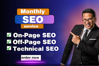 provide complete monthly on page off page and technical SEO for your website