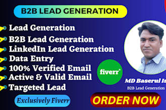 do b2b lead generation, data entry, VA, web research