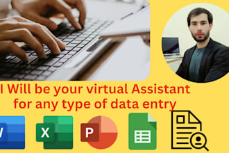 provide accurate data entry, typing, web research, and file conversion services
