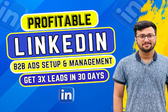 set up high converting linkedin ads for b2b lead generation and sales