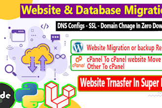 transfer or migration your website with 1h for any website