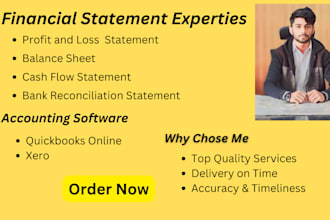 do profit and loss, balance sheet, cash flow, and bank reconciliation