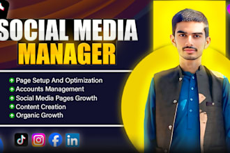 boost your brand with expert digital marketing management