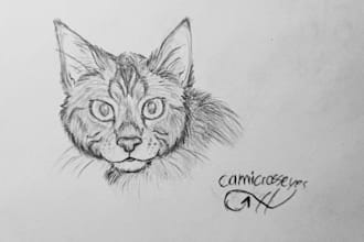 draw traditional and digital 2d art