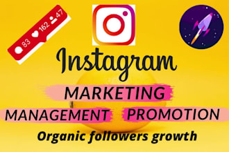 do super fast instagram promotion to increase followers