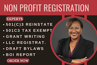 do non profit registration, llc, boi report, 501c3 reinstatement, bylaws, ein