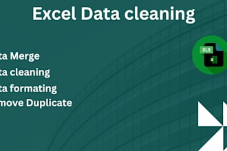 clean, merge, formate and turn PDF,CSV files into a excle sheet