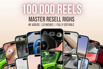 provide 100k reels in 32 niches for reselling