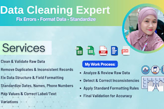 clean, format, and standardize your messy data