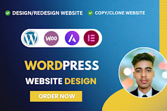 do wordpress website development, redesign or revamp wordpress website