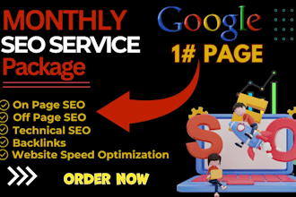 do complete monthly SEO service package, on page, off page and manual backlinks