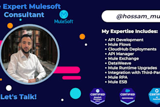 be your mulesoft expert consultant