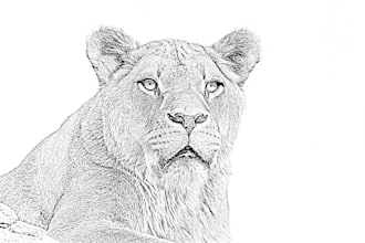 do custom pencil sketch art any images
