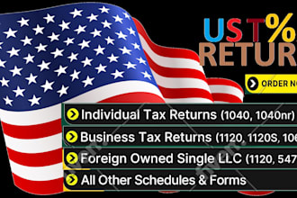 prepare and file US tax returns for individual, llc and corporate