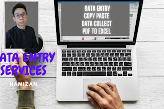 fast accurate data entry and data visualization