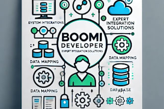 be your expert boomi developer for integration and automation