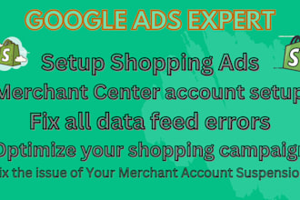 setup and manage google shopping ads for ecommerce stores