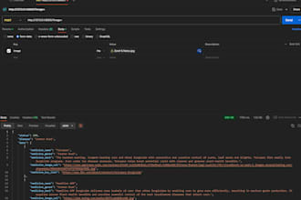 do backend and API development