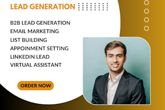do b2b lead generation, email marketing, list building, email list, linkedin, VA