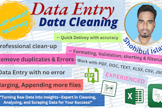 refined raw data professional data cleaning analysis and scraping xlsx CSV josh