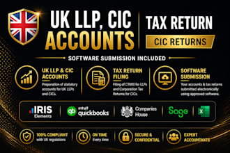 do UK llp, cic accounts and submission via software