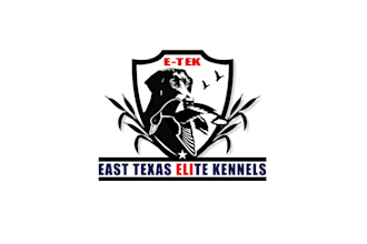 create amazing dog logo design with express delivery
