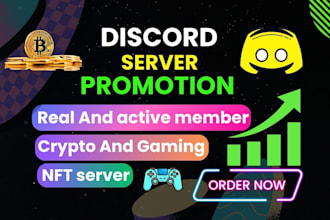 do professional discord server growth and promote