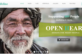 design nonprofit website for charity donations fundraising