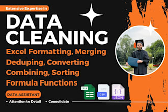 do data cleaning formatting filter duplicates, merge split clean ms excel data