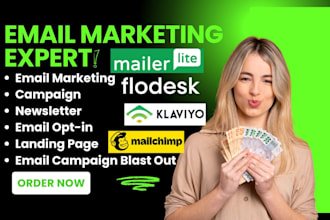 do mailerlite landing page mailchimp klaviyo newsletter flodesk email optin form