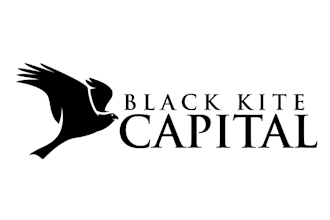 make shiny impressive black kite logo