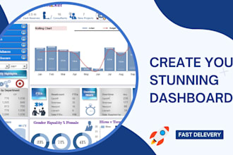 do the professional excel dashboard