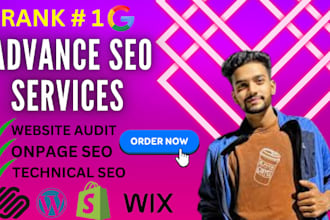 complete website SEO on squarespace, webflow, wix, shopify, wordpress